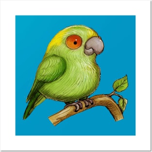 Green parrot Posters and Art